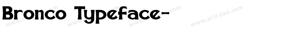 Bronco Typeface字体转换